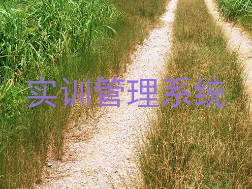 实训管理系统