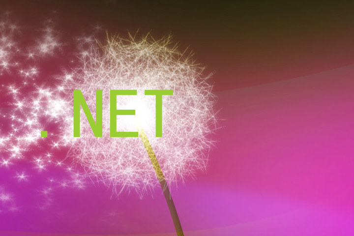 .NET