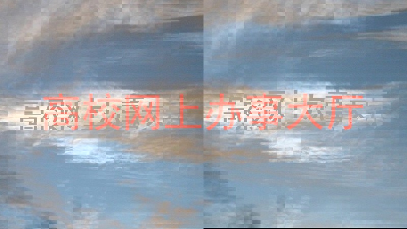 高校网上办事大厅