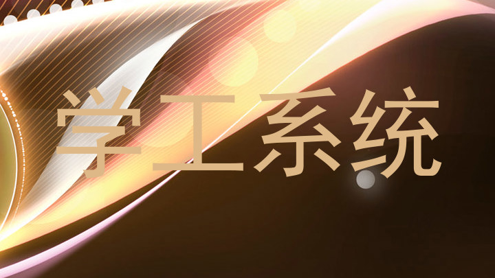 学工系统