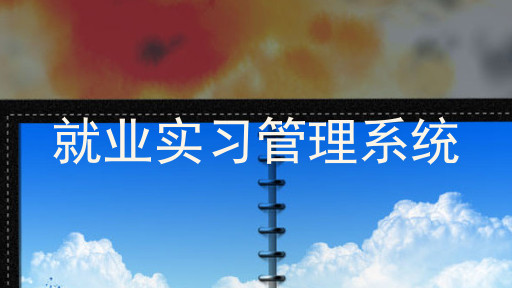 就业实习管理系统