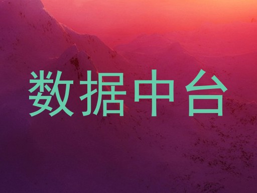 数据中台