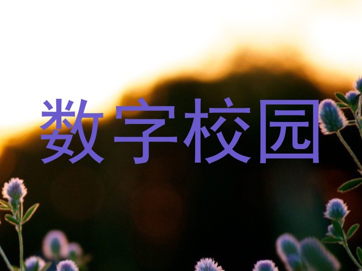 数字校园