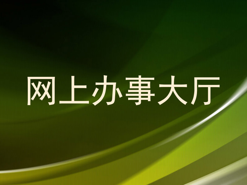 网上办事大厅