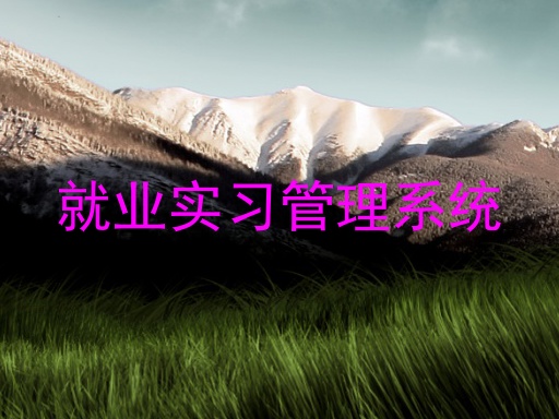 就业实习管理系统