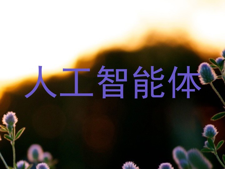 人工智能体