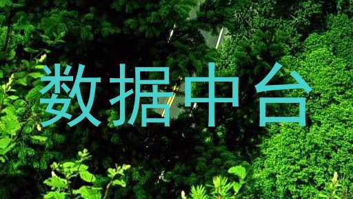 数据中台