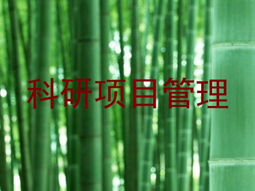 科研项目管理