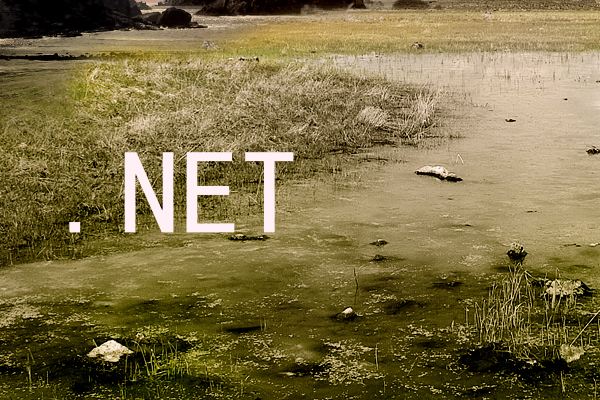 .NET