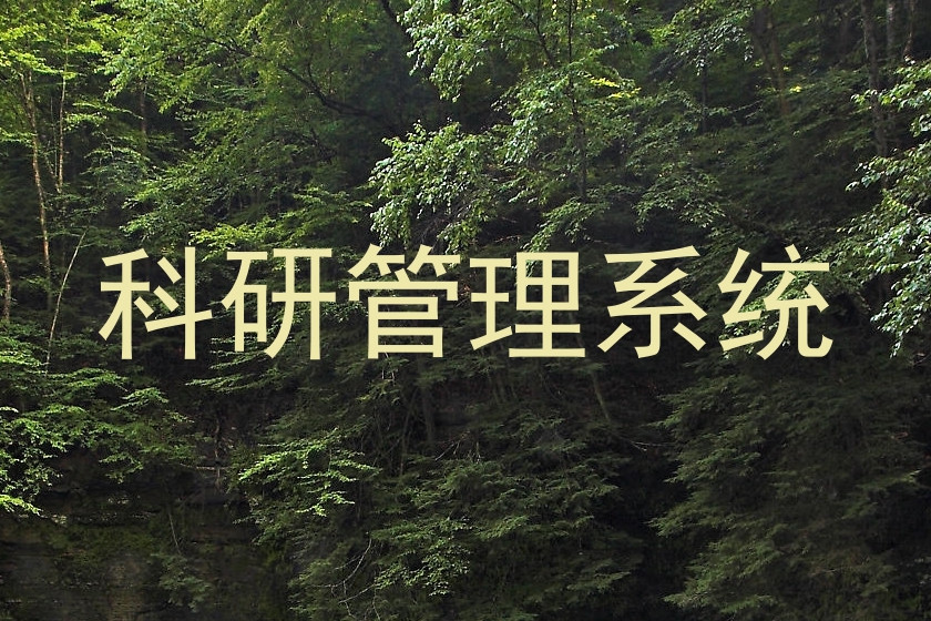 科研管理系统