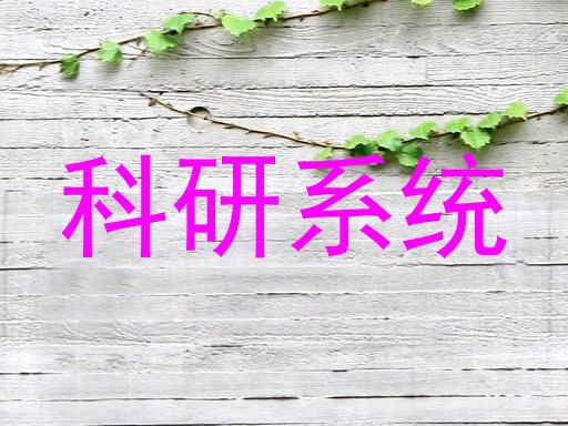 科研系统
