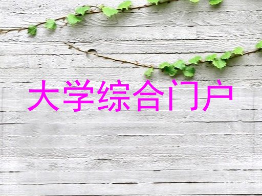 大学综合门户
