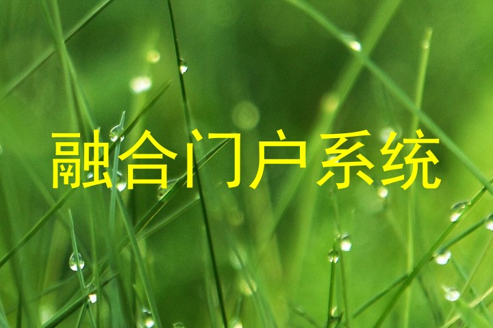 融合门户系统