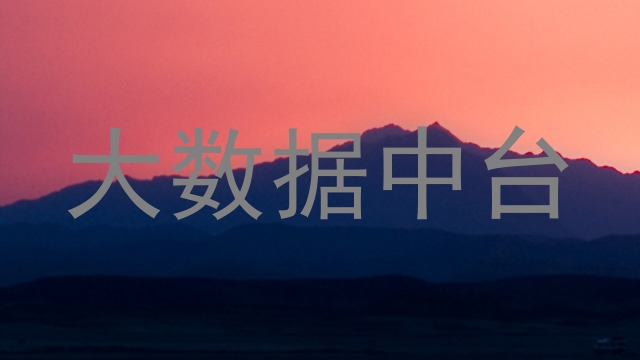 大数据中台