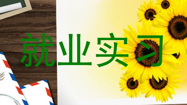 就业实习