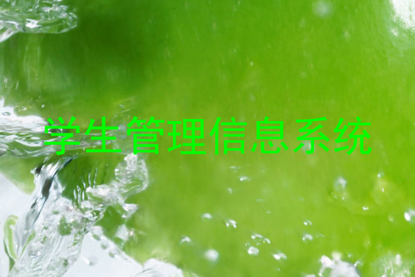 学生管理信息系统
