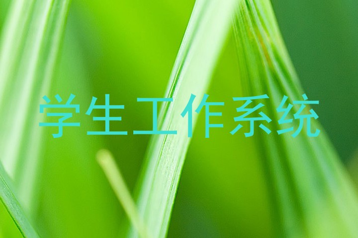 学生工作系统