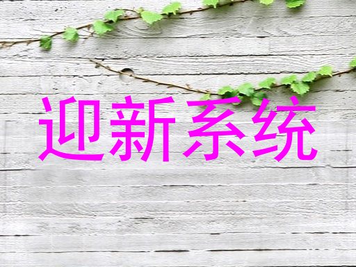 迎新系统