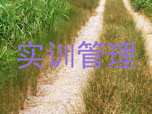 实训管理