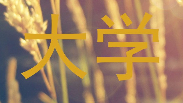 大学