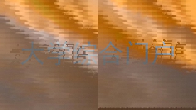 大学综合门户