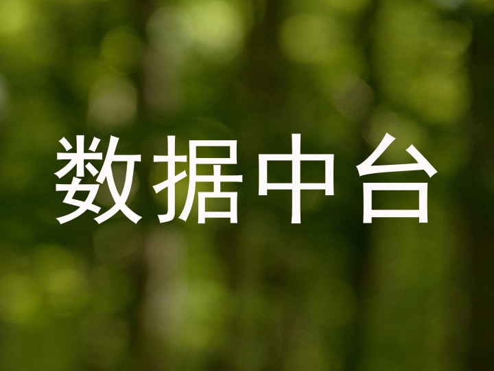 数据中台