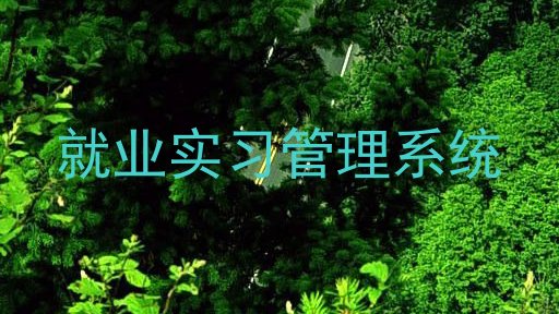 就业实习管理系统