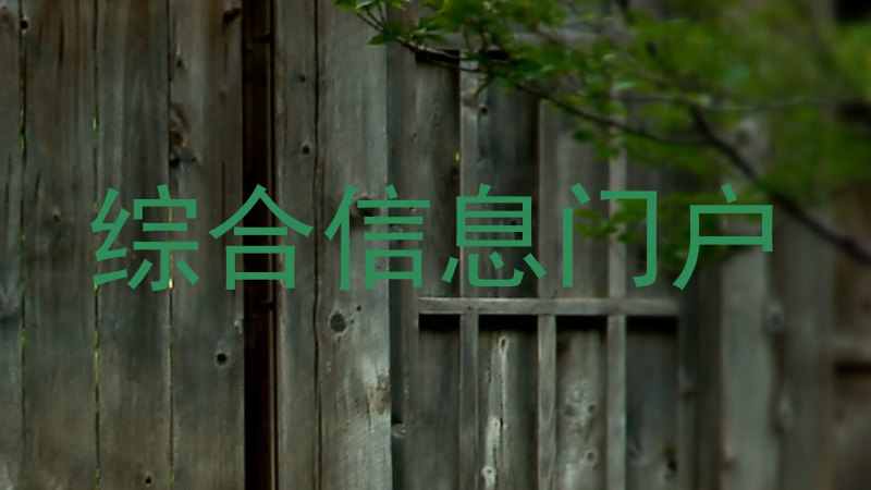 综合信息门户