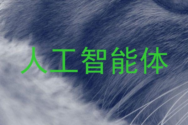 人工智能体