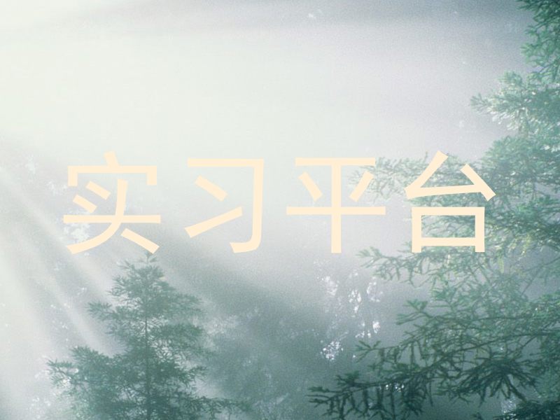 实习平台
