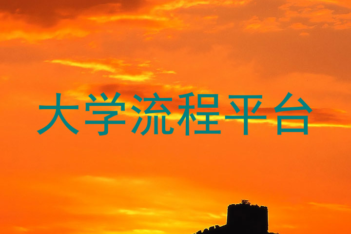 大学流程平台