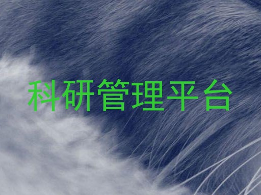 科研管理平台