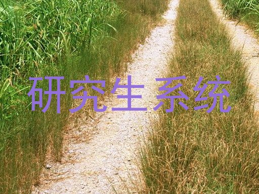 研究生系统