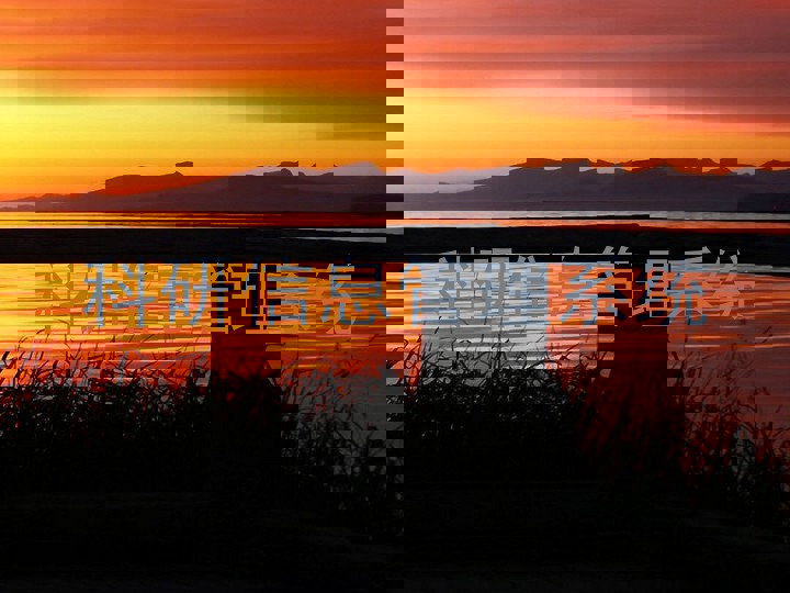 科研信息管理系统