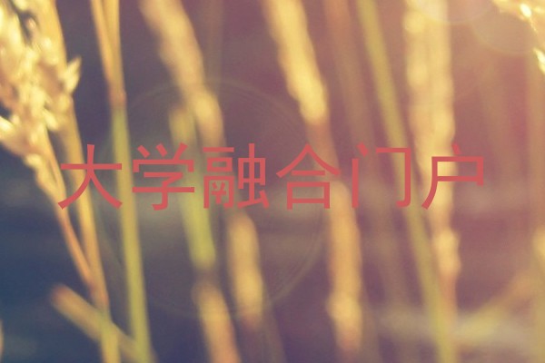大学融合门户