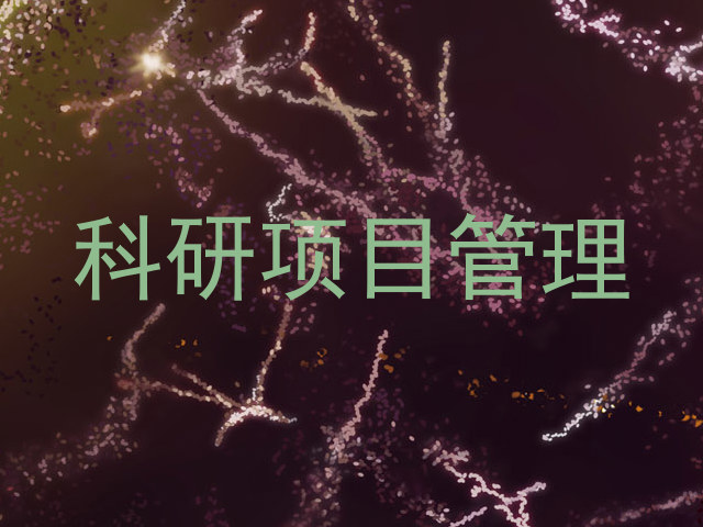 科研项目管理