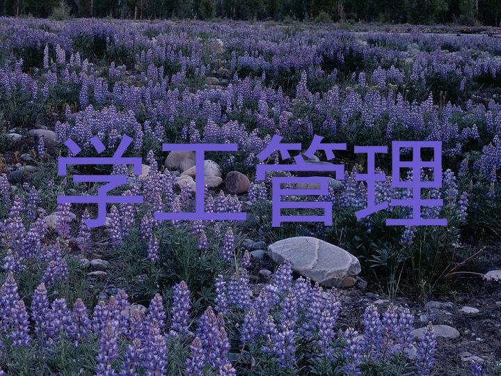 学工管理