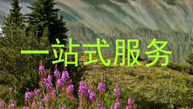 一站式服务