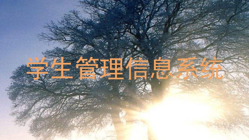 学生管理信息系统