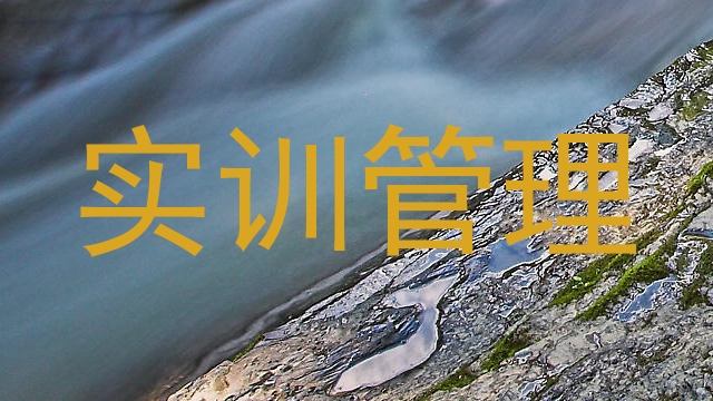 实训管理