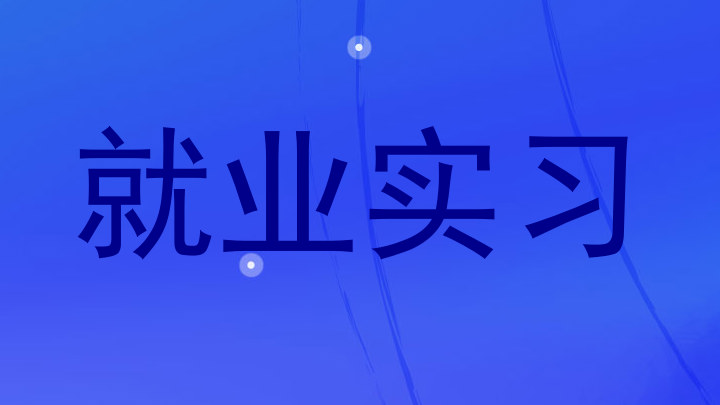 就业实习