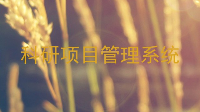 科研项目管理系统
