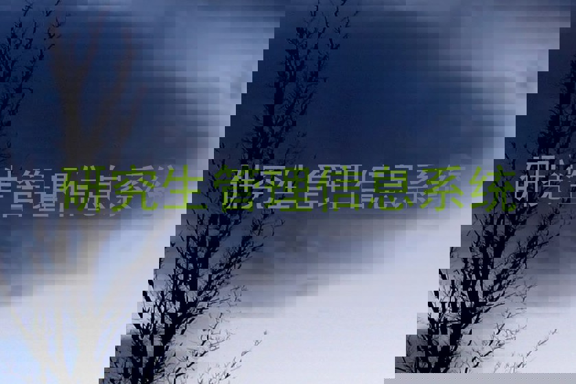 研究生管理信息系统