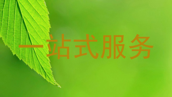一站式服务