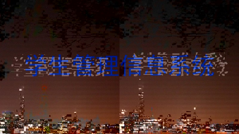 学生管理信息系统