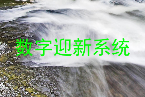 数字迎新系统