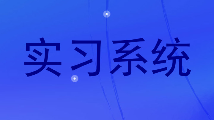 实习系统