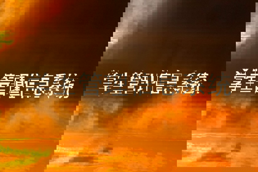 学生管理信息系统