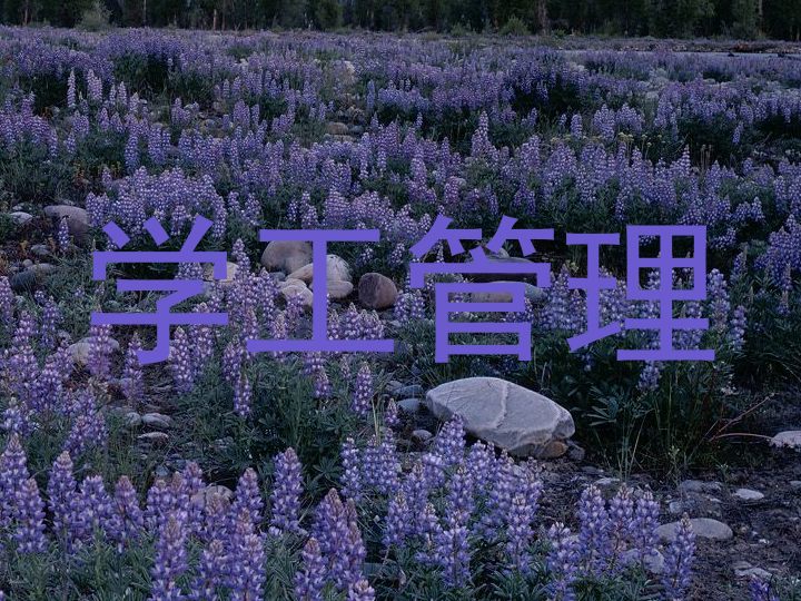 学工管理