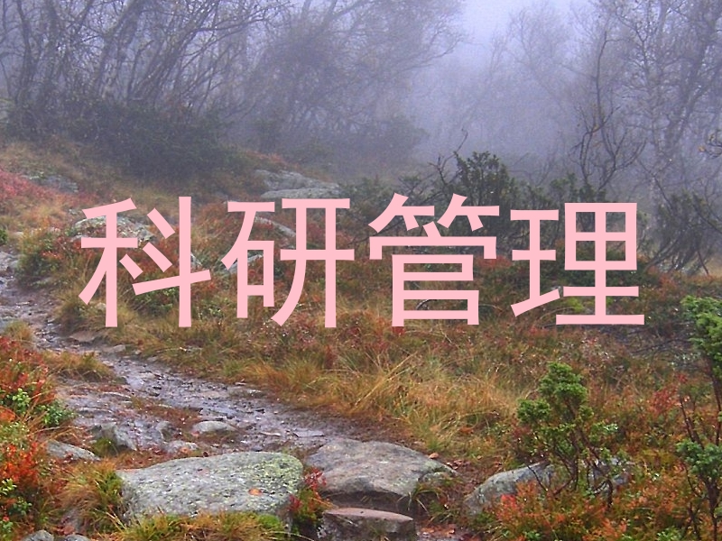 科研管理